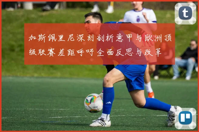 加斯佩里尼深刻剖析意甲与欧洲顶级联赛差距呼吁全面反思与改革