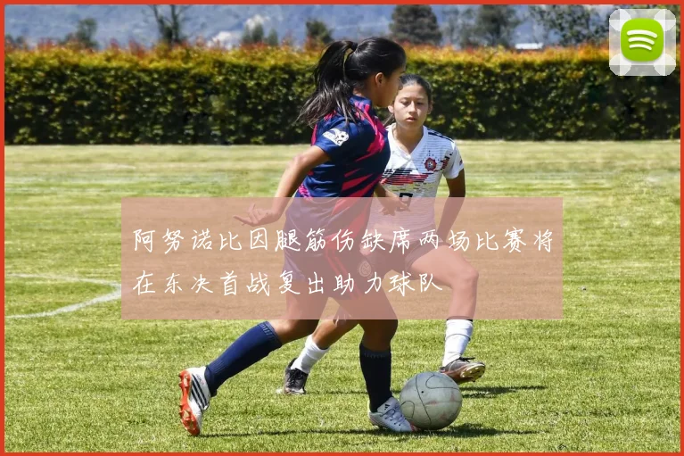 阿努诺比因腿筋伤缺席两场比赛将在东决首战复出助力球队